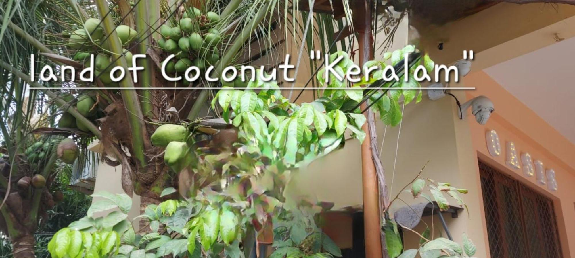 Oasis Homestay Kochi エクステリア 写真