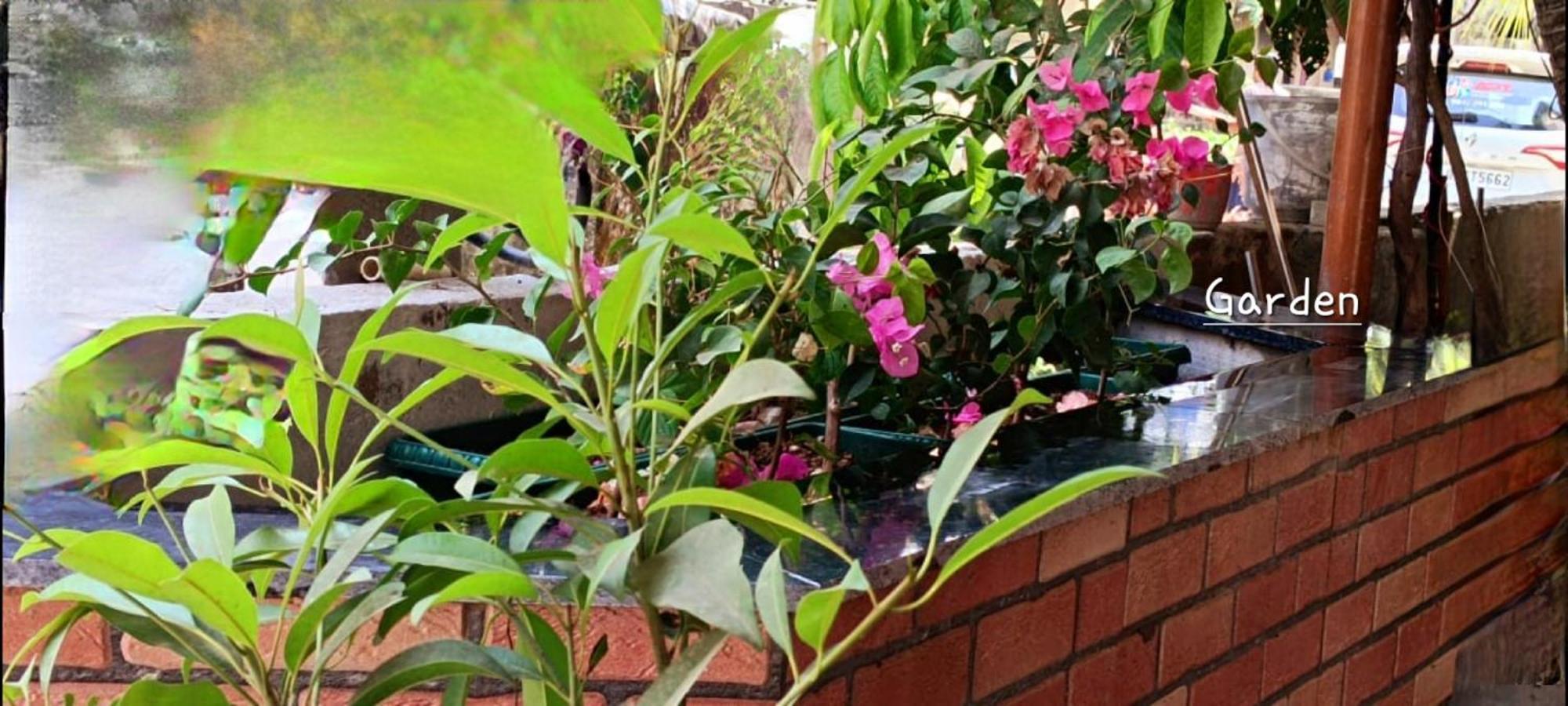 Oasis Homestay Kochi エクステリア 写真